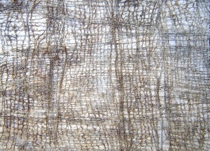 acrílic i malla sobre fusta, 70×100 cm., 2006