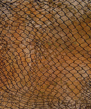cartró, malla metàl·lica i òxid sobre fusta, 93×162 cm., 2007