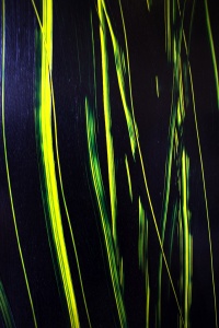 Oil on plexiglass, 200x100 cm., 2017 detail