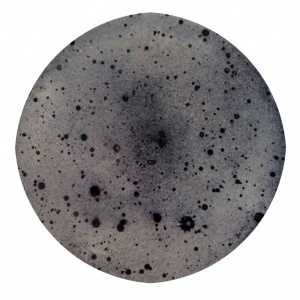 Acid Cosmogony Maps, acid rain and pigment on cardboard, Ø 35 cm.,  2016