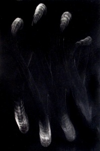 Don’t Touch 5,  ink on paper, 21.3x13.8 cm. (28x19 cm. paper), 2016