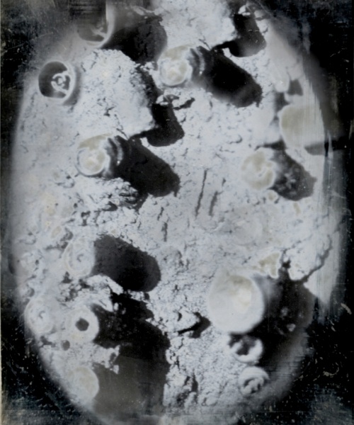 Post-Technology Daguerrotype, sèrie Il Futuro è già Passato, impressió digital de fotografia al daguerrotip, 9x12 cm., 2015.